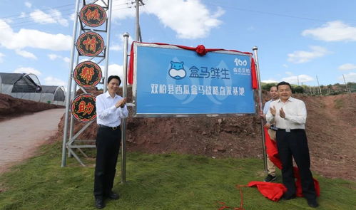 跨越山海的協作 嘉定區黨政代表團赴雙柏縣與南華縣考察記